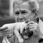 George Bush Eating Pussy Til Orgasims In Case I Nut Quick