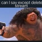 what can i say except delete this stream meme