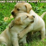 Puppy I love bro | AND THEY CALL IT PUPPY LOVE | image tagged in puppy i love bro | made w/ Imgflip meme maker