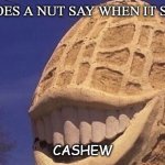Daily Bad Dad Joke Aug 17 2020 | WHAT DOES A NUT SAY WHEN IT SNEEZES? CASHEW | image tagged in this pleases the nut | made w/ Imgflip meme maker