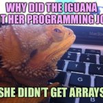 Iguana Coder | WHY DID THE IGUANA QUIT HER PROGRAMMING JOB? SHE DIDN’T GET ARRAYS | image tagged in iguana coder,memes | made w/ Imgflip meme maker