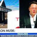 Elon Musk fake news headline meme