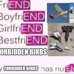 new internet term: aircraft=forbidden birbs | FORBIDDEN BIRBS; FORBIDDEN BIRBS | image tagged in has no end | made w/ Imgflip meme maker