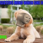 puppy meme man | MY BABY SISTERS MIND WHEN SHE IS PLAYING; DUG | image tagged in puppy meme man | made w/ Imgflip meme maker