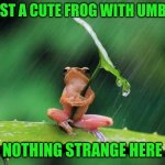 Frog with umbrella | ITS JUST A CUTE FROG WITH UMBRELLA; NOTHING STRANGE HERE | image tagged in frog,umbrella | made w/ Imgflip meme maker