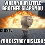 Meme Cat Detosry | WHEN YOUR LITTLE BROTHER SLAPS YOU; SO YOU DESTROY HIS LEGO SET | image tagged in meme cat detosry,cat explosion,meme man,meme cat,new template | made w/ Imgflip meme maker