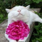 Smelly flower | I GOT THIS FOR YOU; IT'S REALLY SMELLY | image tagged in for you | made w/ Imgflip meme maker