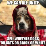 Dogs and cats | WE CAN ALL UNITE; SEE...WHETHER DOGS OR CATS OR BLACK OR WHITE | image tagged in lets unite | made w/ Imgflip meme maker