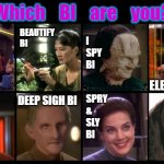 DS9 Bi Pride | Which    BI    are    you? BEAUTIFY BI; I SPY 
BI; TALK & CHAI BI; ELECTRIFY BI; SPRY 
& 
SLY 
BI; DEEP SIGH BI; DEFY BI | image tagged in ds9 faces,star trek deep space nine,bi pride | made w/ Imgflip meme maker