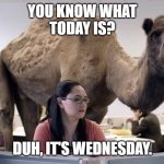 HUMPDAY | YOU KNOW WHAT
TODAY IS? DUH, IT'S WEDNESDAY. | image tagged in humpday | made w/ Imgflip meme maker