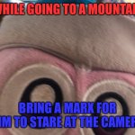 Marx to Mountain | WHILE GOING TO A MOUNTAIN; BRING A MARX FOR HIM TO STARE AT THE CAMERA | image tagged in staring marx plush | made w/ Imgflip meme maker