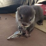 keys