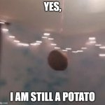 Yes, I am still a potato | YES, I AM STILL A POTATO | image tagged in a potato flew around my room before you came | made w/ Imgflip meme maker