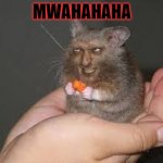 MWAHAHAHA | image tagged in funny animals | made w/ Imgflip meme maker