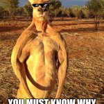 Competition is about to begin... | HOW MUCH HAVE YOU LIFTED TODAY? YOU MUST KNOW WHY I'M ASKING THAT, RIGHT? | image tagged in buff kangaroo,memes | made w/ Imgflip meme maker