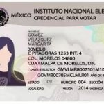Mexican voter ID