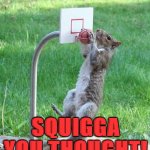 Squirrel basketball | TOO SMALL TO DUNK YOU SAY? SQUIGGA YOU THOUGHT! | image tagged in squirrel basketball | made w/ Imgflip meme maker