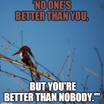 go kamala | 'NO ONE'S BETTER THAN YOU, BUT YOU'RE BETTER THAN NOBODY.'" | image tagged in political meme | made w/ Imgflip meme maker