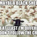 black sheep | I MAYBE A BLACK SHEEP; BUT AT LEAST I'M DIFFERENT AND DON'T FOLLOW THE CROWD | image tagged in black sheep,memes | made w/ Imgflip meme maker