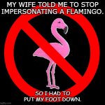 Daily Bad Dad Joke August 20 2020 | MY WIFE TOLD ME TO STOP IMPERSONATING A FLAMINGO. SO I HAD TO PUT MY FOOT DOWN. | image tagged in no flamingos | made w/ Imgflip meme maker