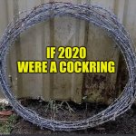 2020 | IF 2020 WERE A COCKRING | image tagged in 2020 | made w/ Imgflip meme maker