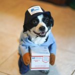 Postal dog