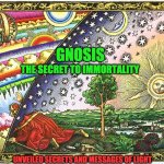 GNOSIS | GNOSIS; THE SECRET TO IMMORTALITY; UNVEILED SECRETS AND MESSAGES OF LIGHT | image tagged in gnosis | made w/ Imgflip meme maker