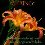 Spring | “SPRING"; A lovely reminder of how beautiful change can truly be | image tagged in flower power | made w/ Imgflip meme maker