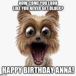 surprised puppy | HOW COME YOU LOOK LIKE YOU NEVER GET OLDER? HAPPY BIRTHDAY ANNA! | image tagged in surprised puppy | made w/ Imgflip meme maker