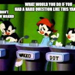 Animaniacs | I DON'T KNOW WAKKO; WHAT WOULD YOU DO IF YOU HAD A HARD QUESTION LIKE THIS YAKKO? | image tagged in animaniacs | made w/ Imgflip meme maker