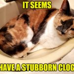 A Stubborn Clog | IT SEEMS; I HAVE A STUBBORN CLOG... | image tagged in stubborn clog | made w/ Imgflip meme maker