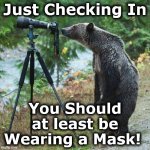 bear | Just Checking In; You Should at least be Wearing a Mask! | image tagged in bear | made w/ Imgflip meme maker