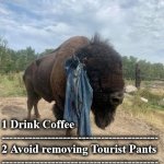 bison | TO DO LIST! 1 Drink Coffee
-----------------------------------------

2 Avoid removing Tourist Pants
-----------------------------------------

3 Repeat 1 and 2 | image tagged in bison | made w/ Imgflip meme maker