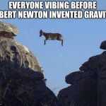 Whatever floats your goat | EVERYONE VIBING BEFORE ALBERT NEWTON INVENTED GRAVITY | image tagged in whatever floats your goat,albert newton,inventing gravity,before gravity,very interesting,yeah this is big brain time | made w/ Imgflip meme maker