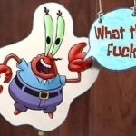 Mr. Krabs WTF meme