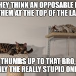 two brothers | SO THEY THINK AN OPPOSABLE DIGIT PUTS THEM AT THE TOP OF THE LADDER? THUMBS UP TO THAT BRO, ONLY THE REALLY STUPID ONES. | image tagged in two brothers | made w/ Imgflip meme maker