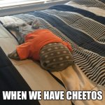 Whale shark with orange shirt on | WHEN WE HAVE CHEETOS | image tagged in whale shark with orange shirt on | made w/ Imgflip meme maker
