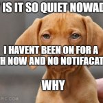 Umm dog | WHY IS IT SO QUIET NOWADAYS; I HAVENT BEEN ON FOR A MONTH NOW AND NO NOTIFACATIONS. WHY | image tagged in umm dog | made w/ Imgflip meme maker