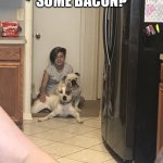 Wants some bacon? | ME: WANT SOME BACON? MY DOG: BACON?!? | image tagged in wants some bacon | made w/ Imgflip meme maker