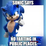 Movie Sonic Says | SONIC SAYS; NO FARTING IN PUBLIC PLACES. | image tagged in movie sonic says | made w/ Imgflip meme maker
