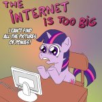 Mlp the internet is too big