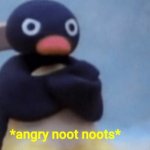 Angry noot noots meme