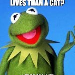 Daily Bad Dad Joke August 2020 | WHAT HAS MORE LIVES THAN A CAT? A FROG BECAUSE IT CROAKS EVERY NIGHT. | image tagged in kermit the frog meme | made w/ Imgflip meme maker