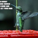 Humming bird | WHEN HUBBY ISN'T BRING ENOUGH NECTAR HOME AND YOU GOTTA GET YOUR OWN | image tagged in humming bird | made w/ Imgflip meme maker