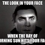 Good morning | THE LOOK IN YOUR FACE; WHEN THE RAY OF MORNING SUN HITS YOUR FACE | image tagged in bela | made w/ Imgflip meme maker