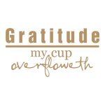 Gratitude my cup overfloweth meme