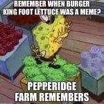 15. Burger King foot lettuce | REMEMBER WHEN BURGER KING FOOT LETTUCE WAS A MEME? PEPPERIDGE FARM REMEMBERS | image tagged in 15 burger king foot lettuce,pepperidge farm remembers,memes | made w/ Imgflip meme maker