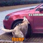Trump catches car