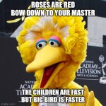 Big Bird Meme | ROSES ARE RED
BOW DOWN TO YOUR MASTER; THE CHILDREN ARE FAST
BUT BIG BIRD IS FASTER | image tagged in memes,big bird | made w/ Imgflip meme maker