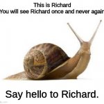 This is Richard. | This is Richard
You will see Richard once and never again; Say hello to Richard. | image tagged in snail,wholesome,memes,funny,cute | made w/ Imgflip meme maker